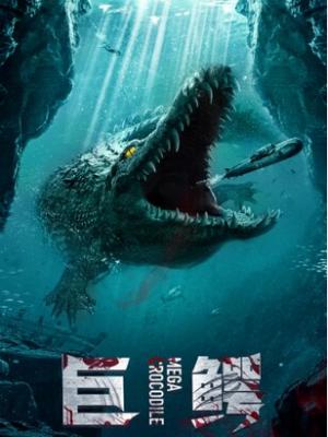 心动的信号